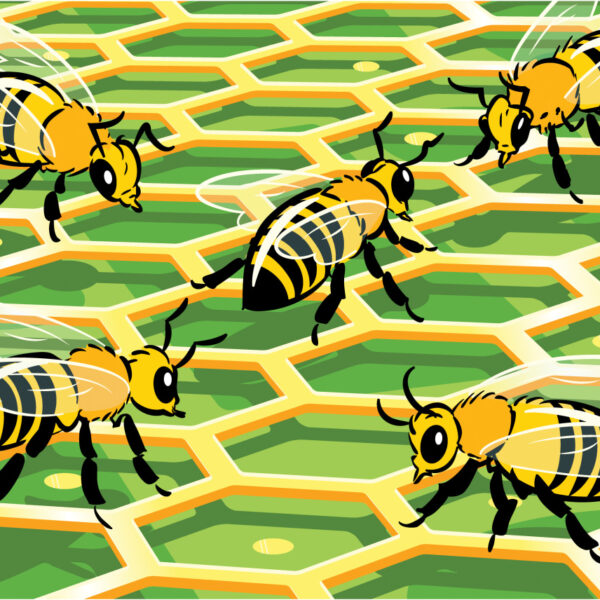 AI Adoption Among Workers Is Slow and Uneven. Bosses Can Speed It Up.