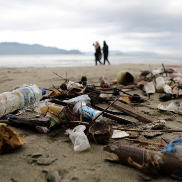 Reuse and return schemes could help eliminate plastic pollution in 15 years, says report