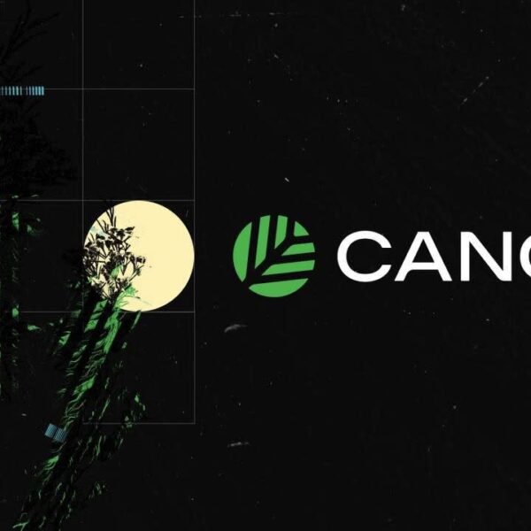 Canopy introduces a ‘layerless’ approach to building sovereign blockchains